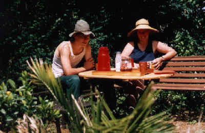 Niko und Tine 2000