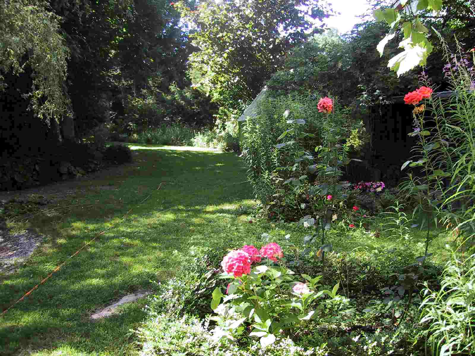 Rosen am Weg